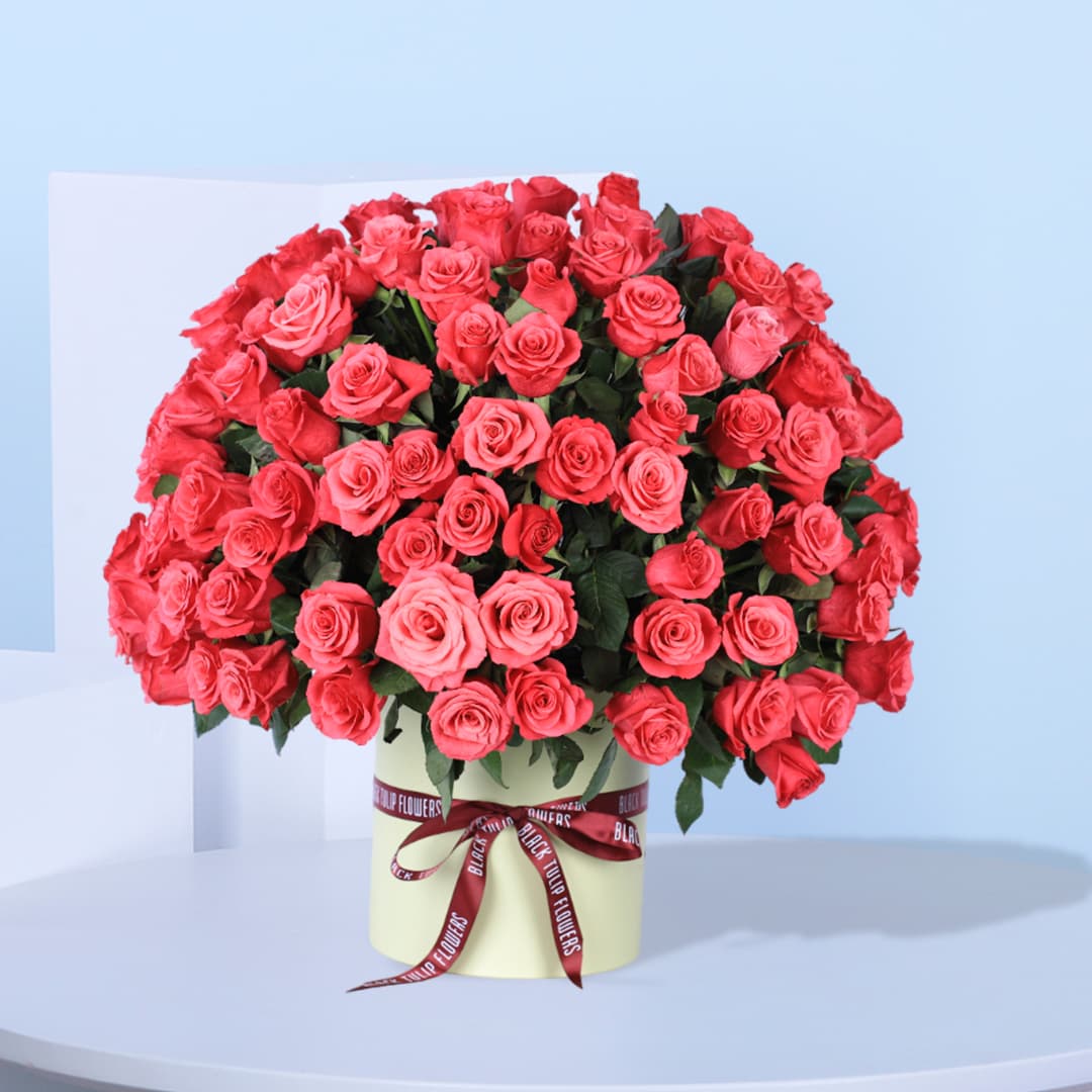 100 Precious Roses