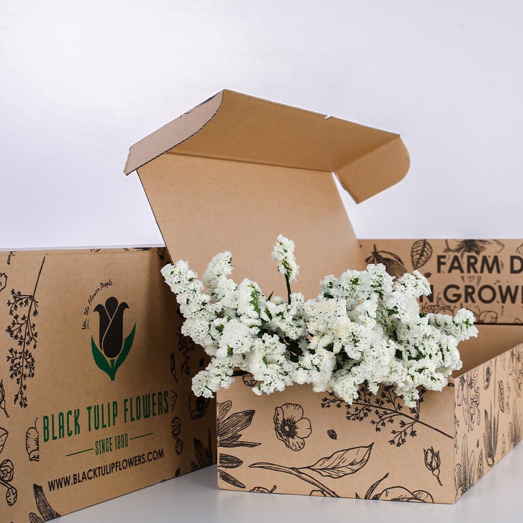 A cardboard box containing a cluster of white Statice flowers, highlighting their elegant blooms and fresh look.
