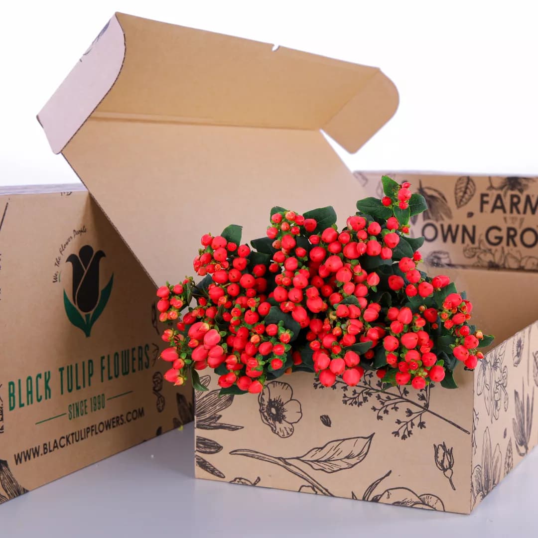 A cardboard box with a collection of Hypericum Pink flowers, featuring their striking pink hues and lush foliage.