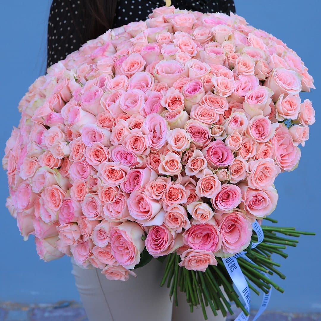A bunch of 60 pink roses and 40 peach spray roses, elegantly tied with a white ribbon.