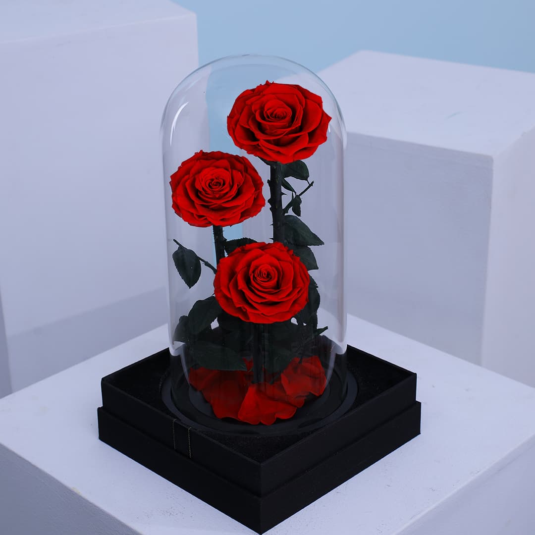 3 vibrant preserved red roses arranged in a sleek glass domed box.