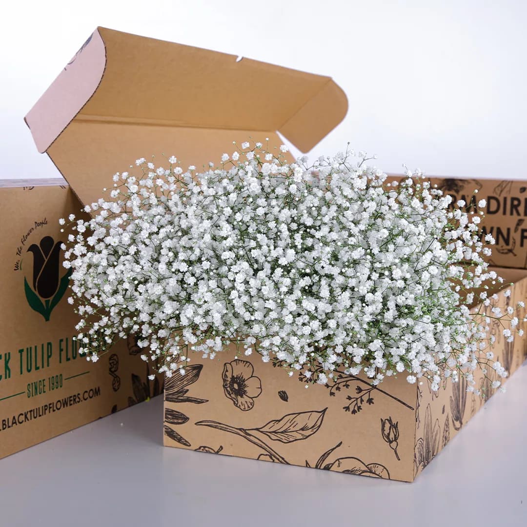 Bunch of gypsophilia in a cardboard box