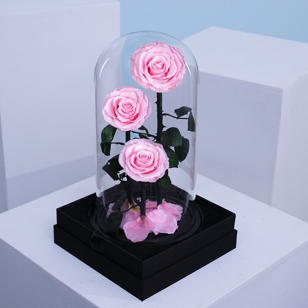 3 light pink forever roses in a stylish transparent domed box.