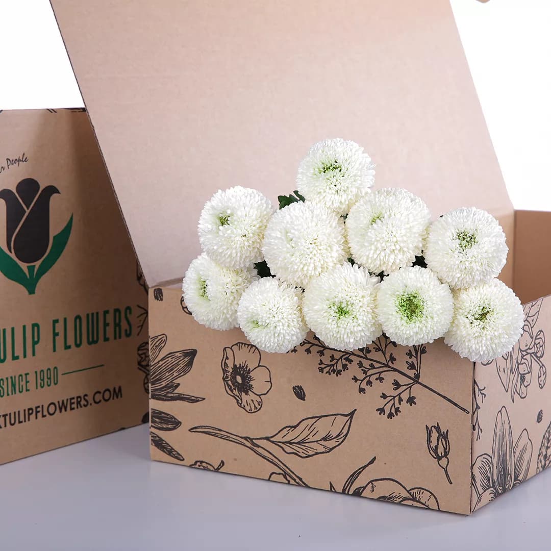 Chrysanthemum Ping Pong White bunch in a cardboard box