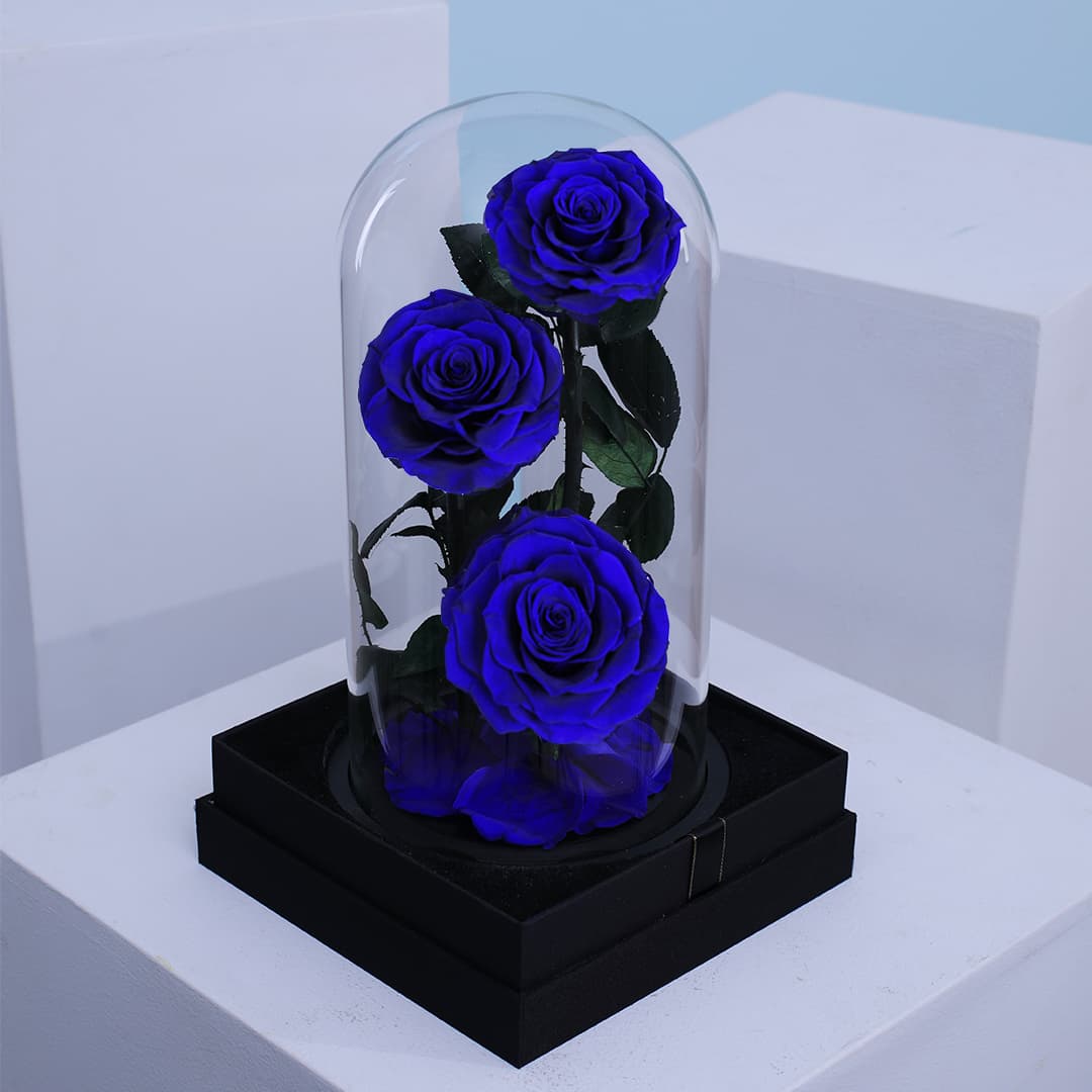 Charming dark blue trio Forever Roses, beautifully preserved in a glass dome box.