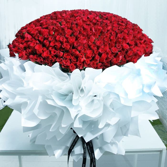 A huge bouquet of red roses, beautifully wrapped in huge volume of white paper and tied with black ribbon.