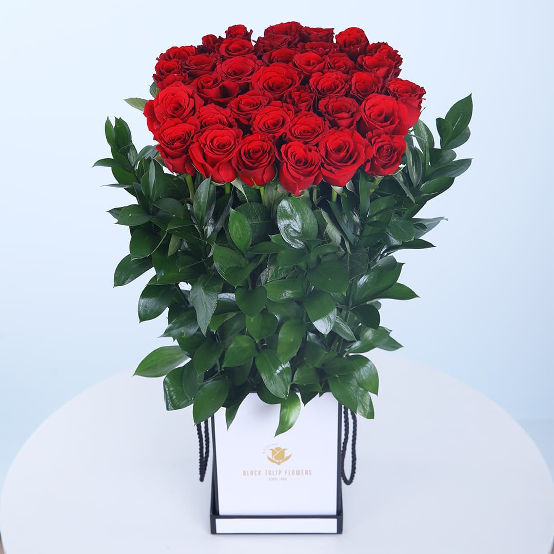 Timeless Red Roses