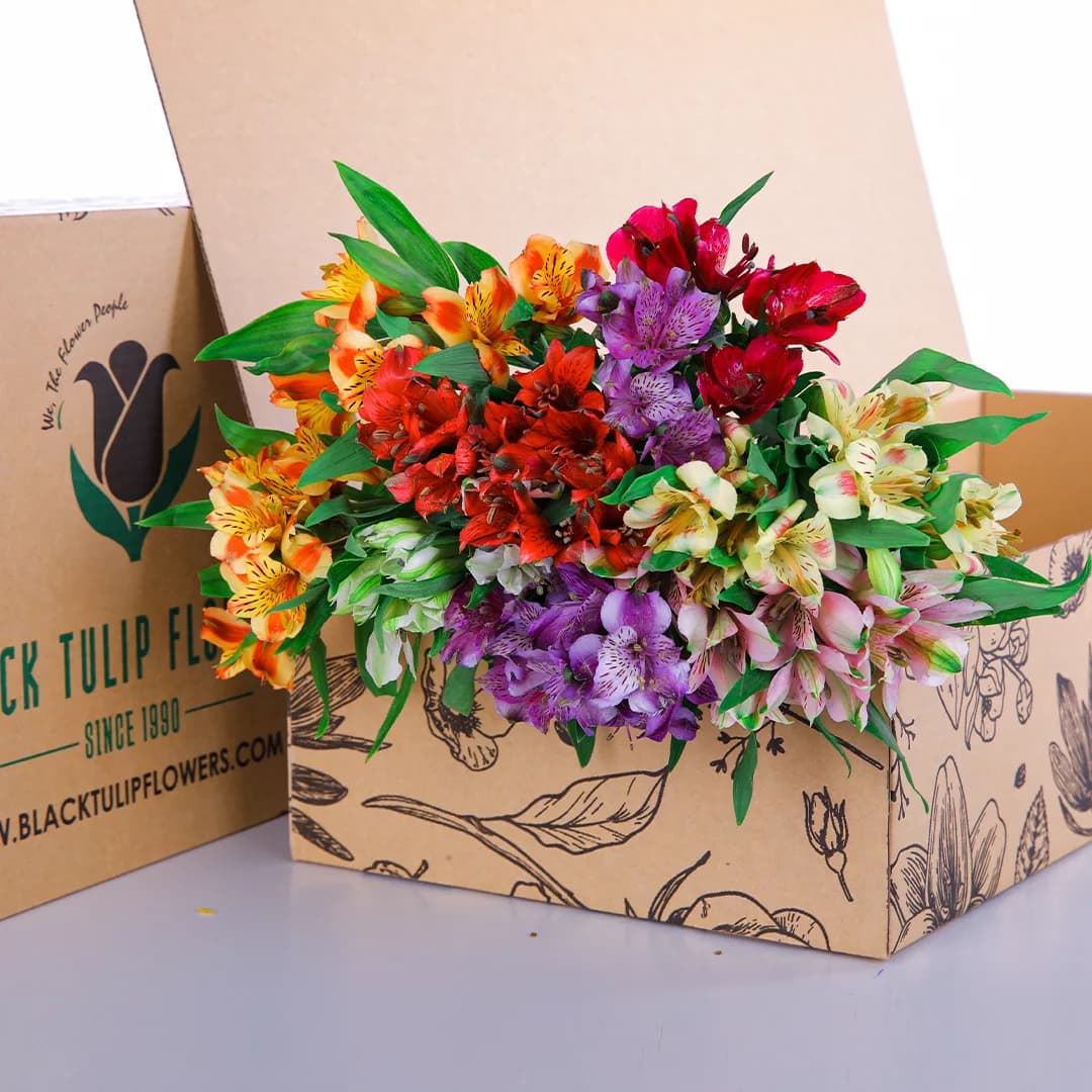 A bunch of colourful mix of Alstroemeria blooms in a brown box to create your own stunning arrangements.
