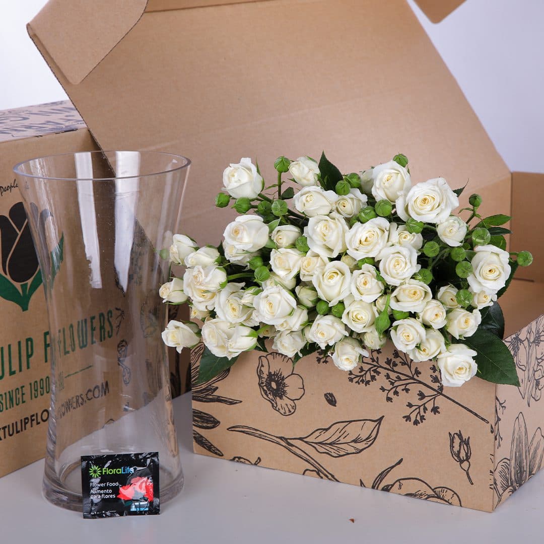 Spray Roses 10 Stems – 40-50cm tall with flower food and a glass vase for a beautiful floral arrangement.