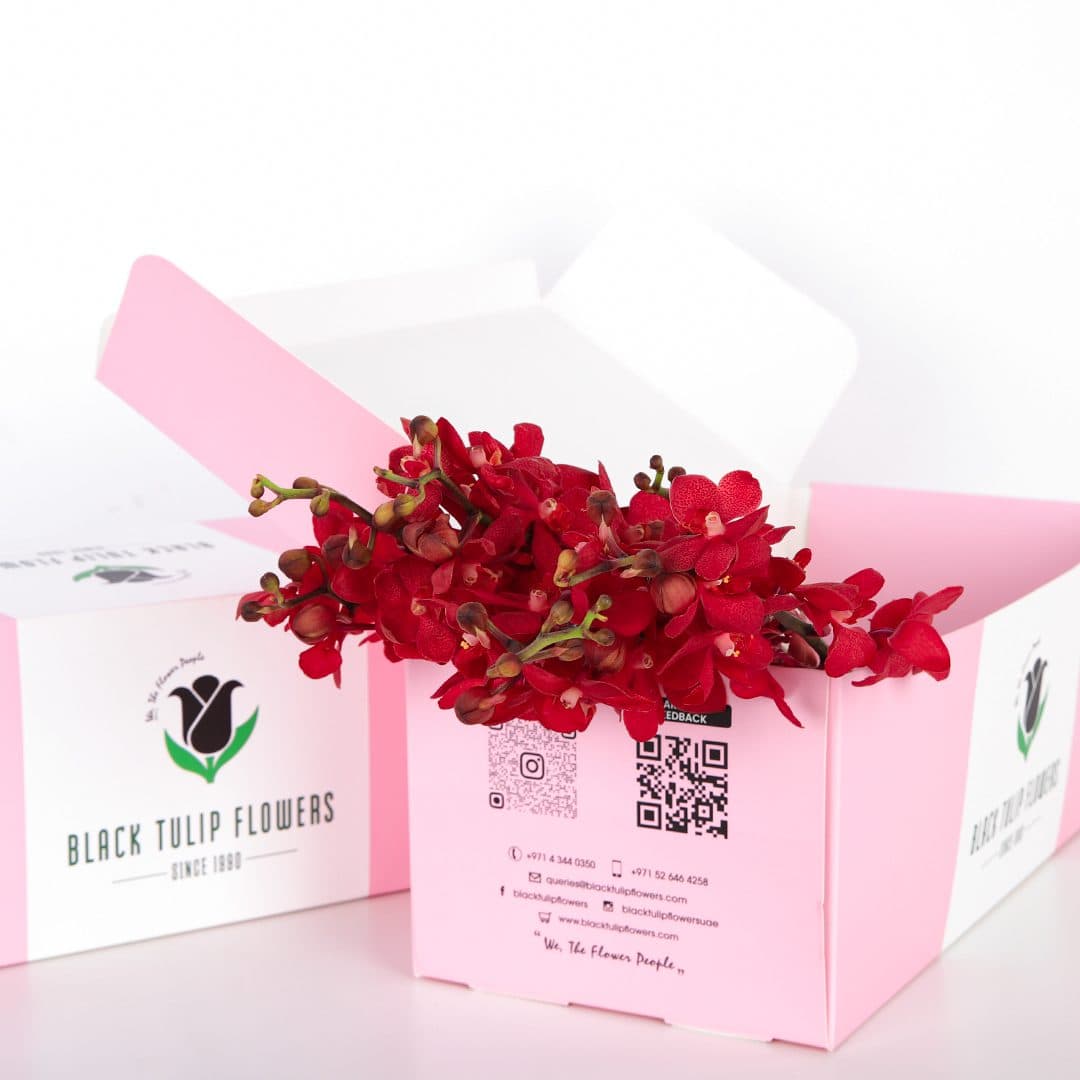 A bunch of red orchids arranged in a pink gift box with flower food to make DIY arrangements.