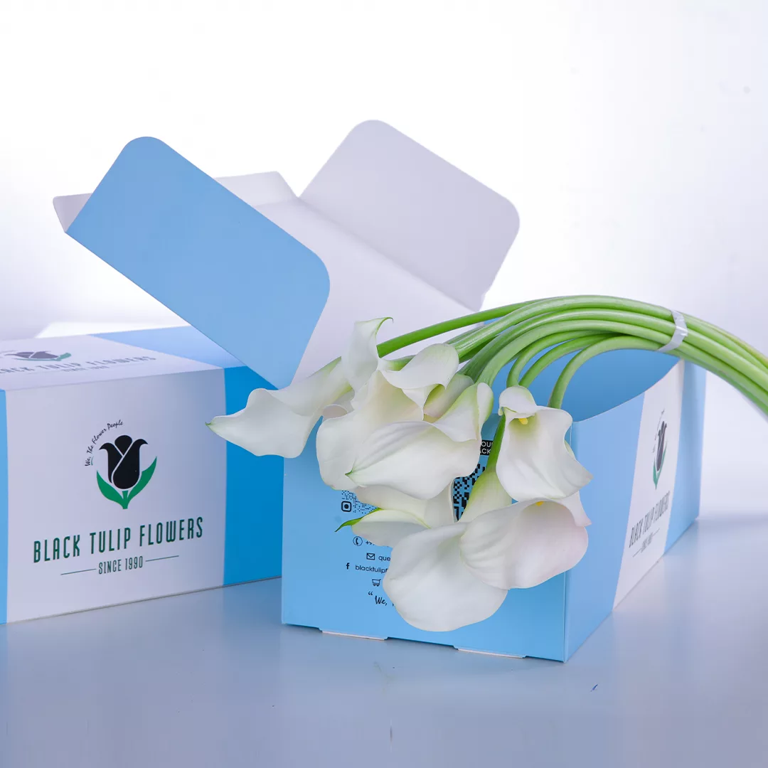 A cardboard box containing Calla lily White flowers, showcasing their elegant white petals and lush green stems.