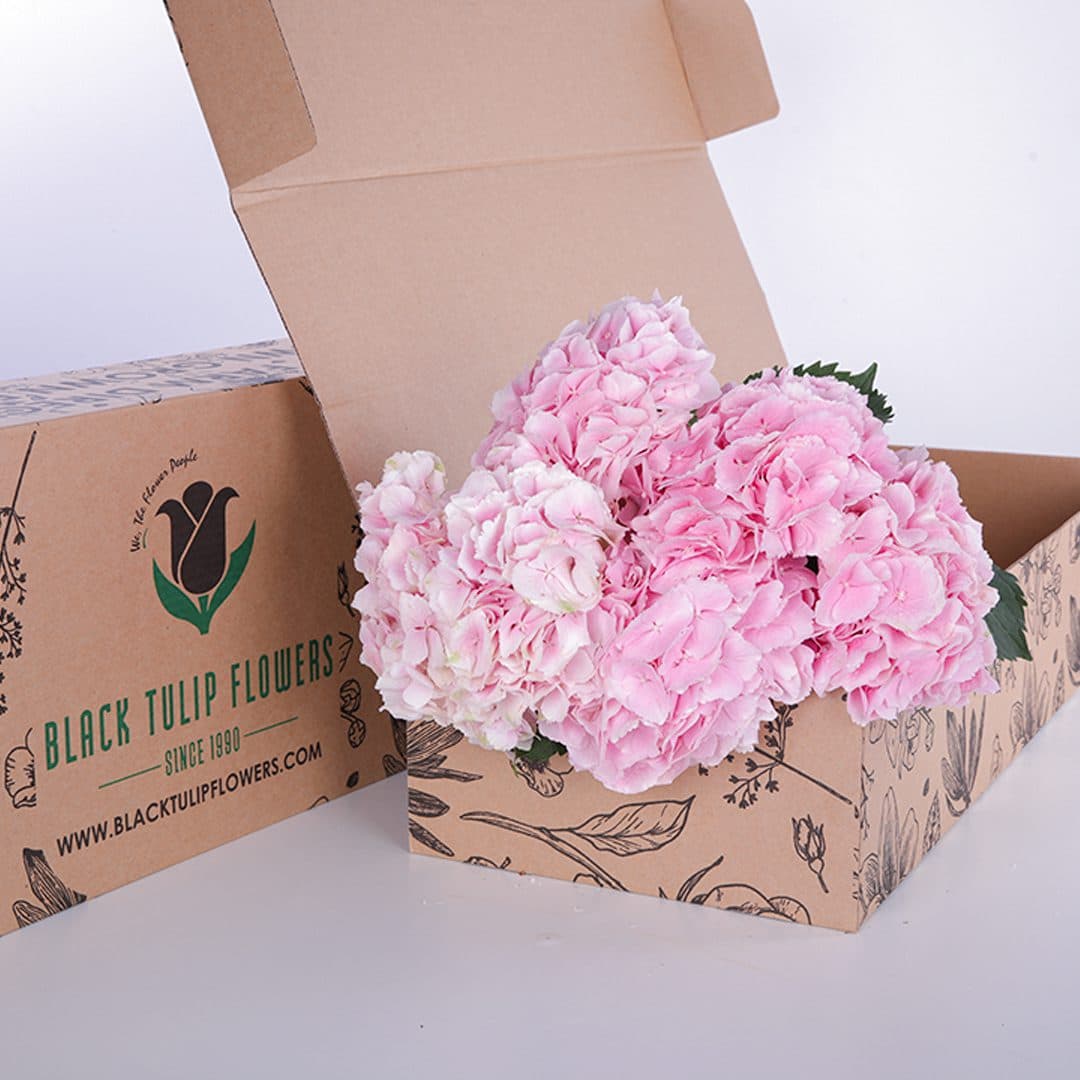 Bunch of Light Pink Hydrangea in a box