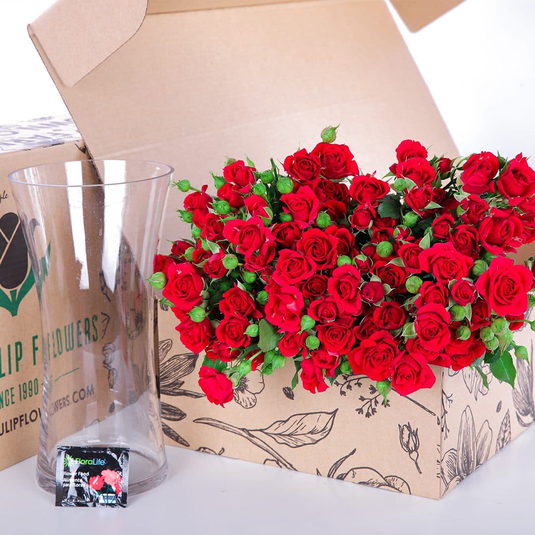 Lovely bunch of red spray roses Mirabel with glass vase, complete with flower food.