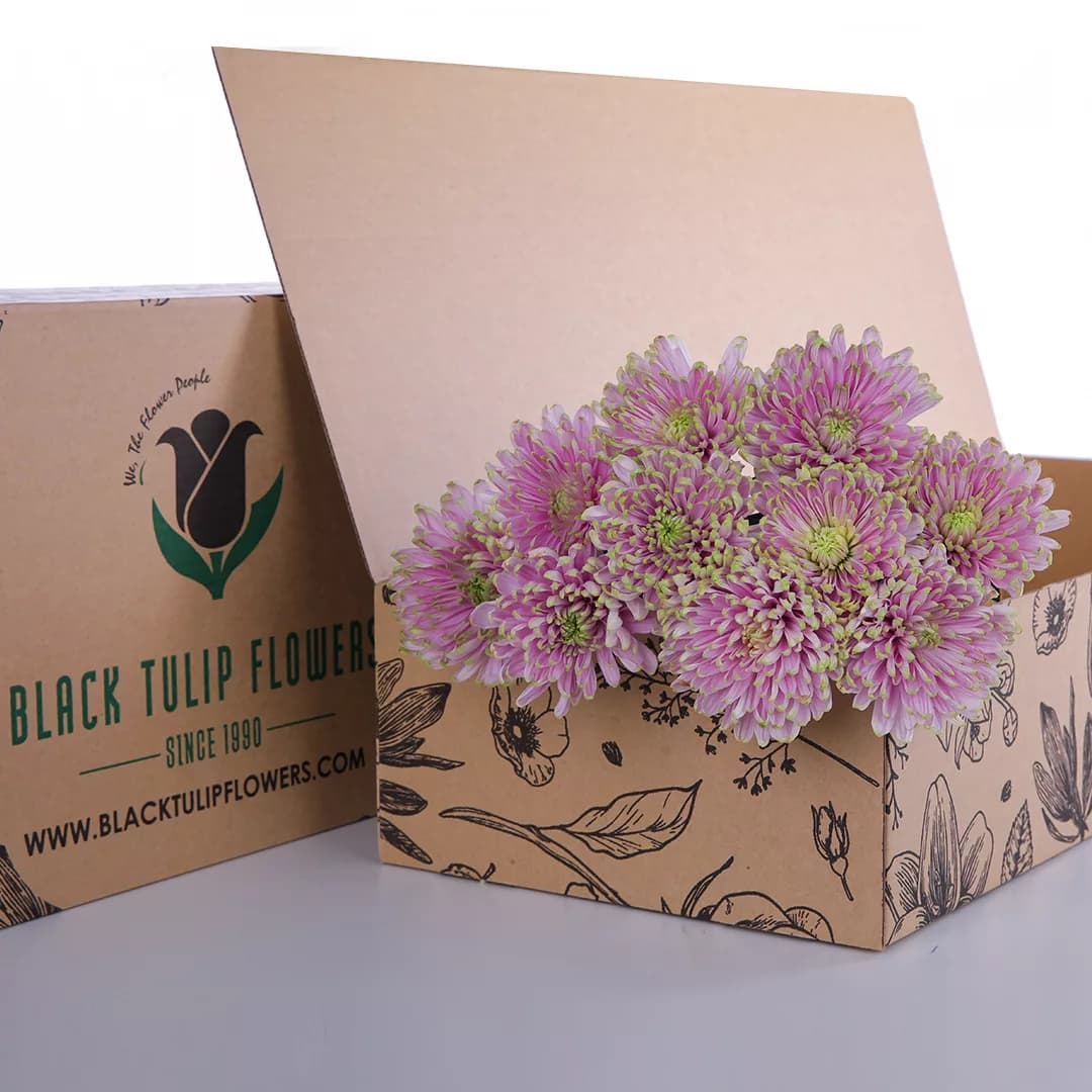 Chrysanthemum Spray Euro pink bunch in a cardboard box