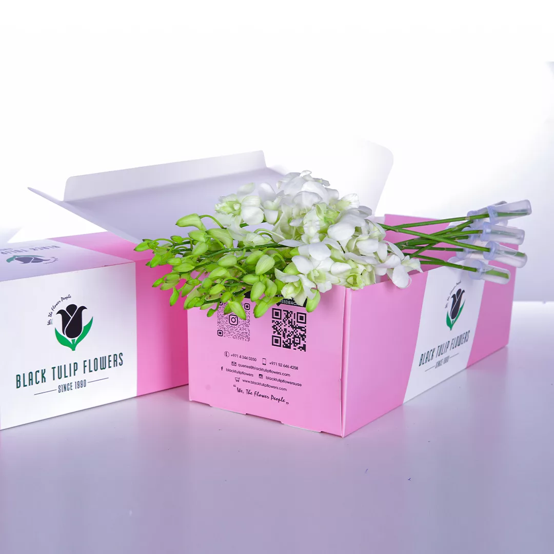 A bunch of Orchid Dendrobium Whites in a box