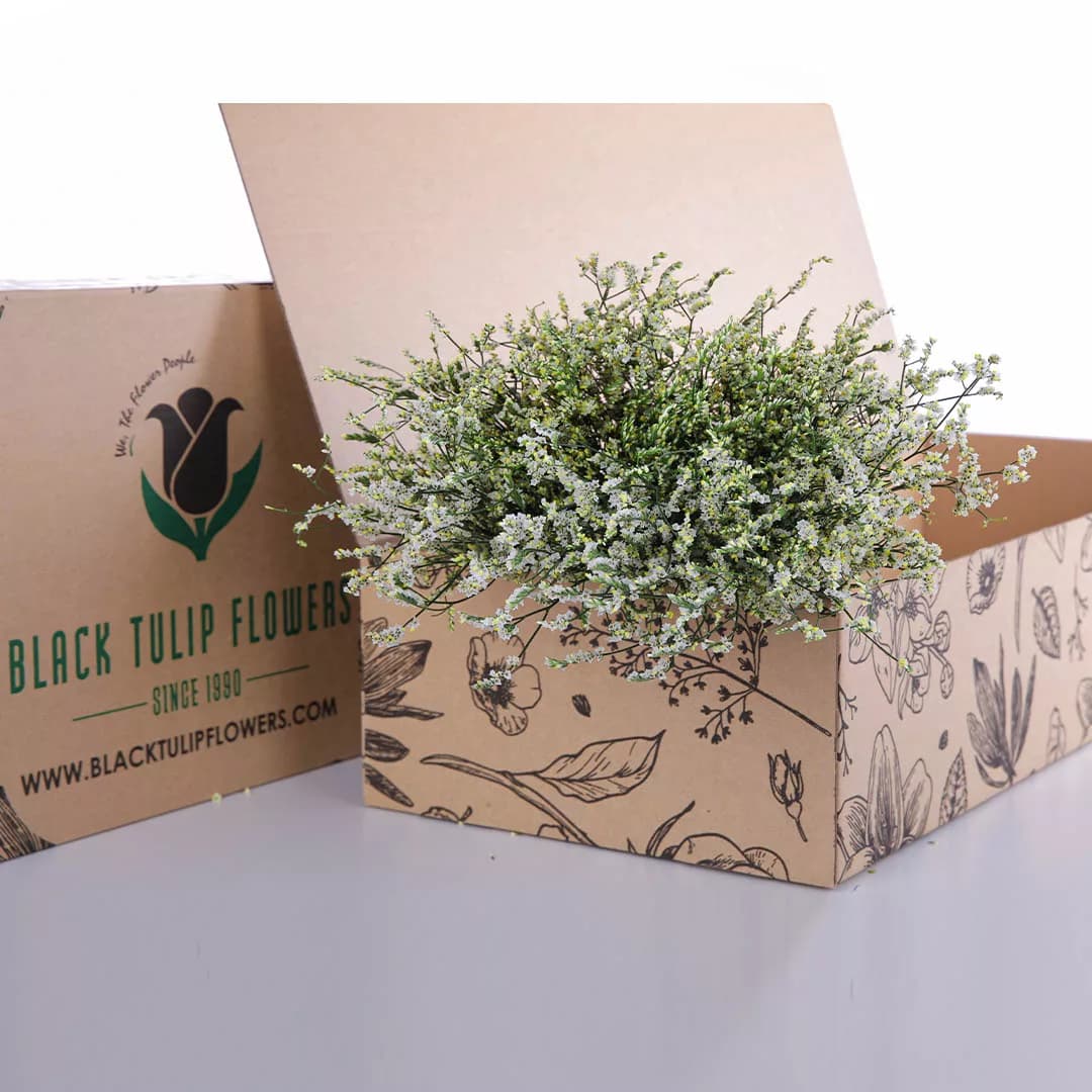A cardboard box filled with a cluster of white Limonium flowers, commonly referred to as Caspia, elegantly displayed.