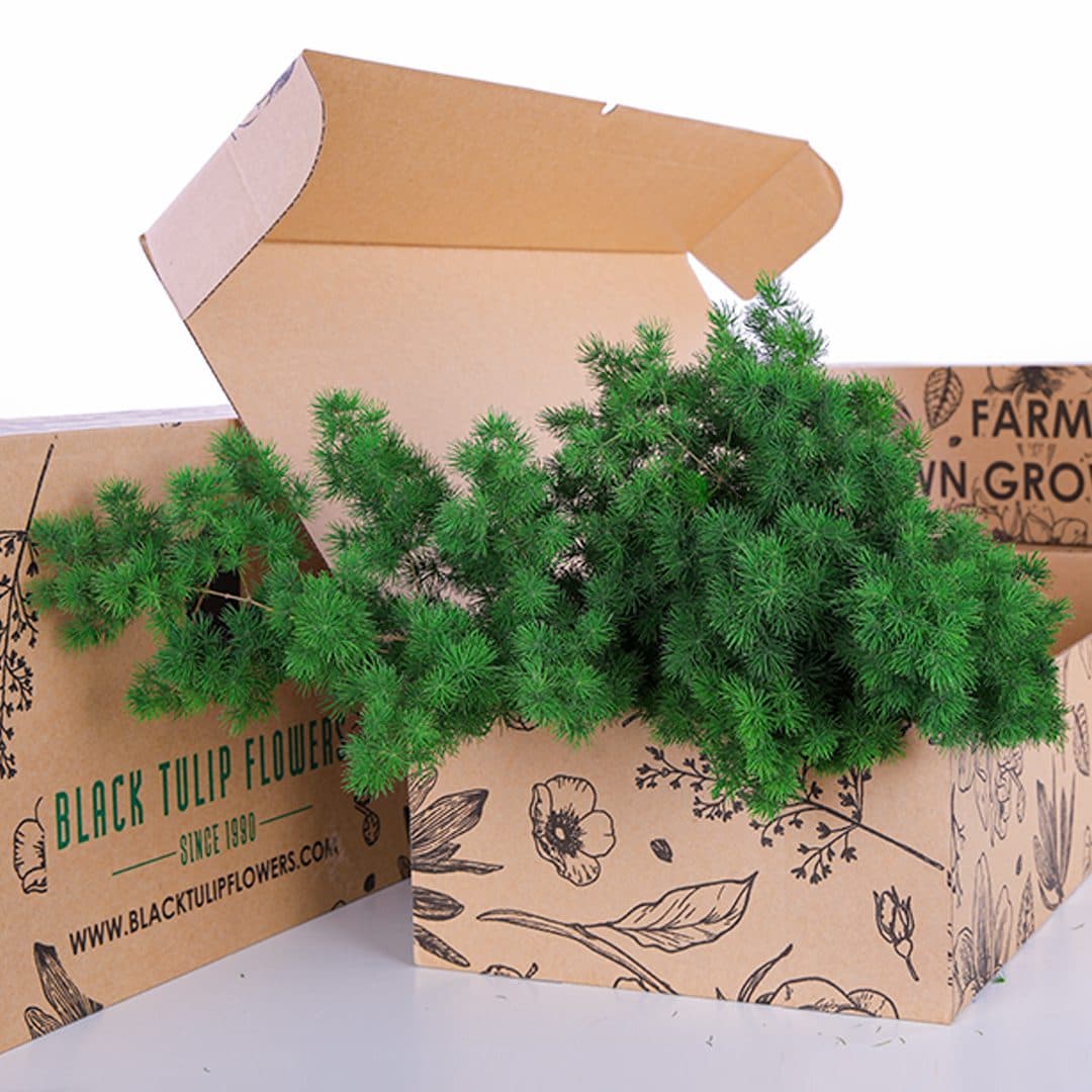 A cardboard box filled with fresh Asparagus Umbellatus, showcasing their vibrant green stalks and delicate tips.
