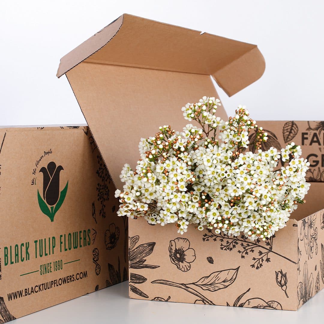 A cardboard box containing a bunch of white wax flowers, showcasing their delicate petals and vibrant appearance.
