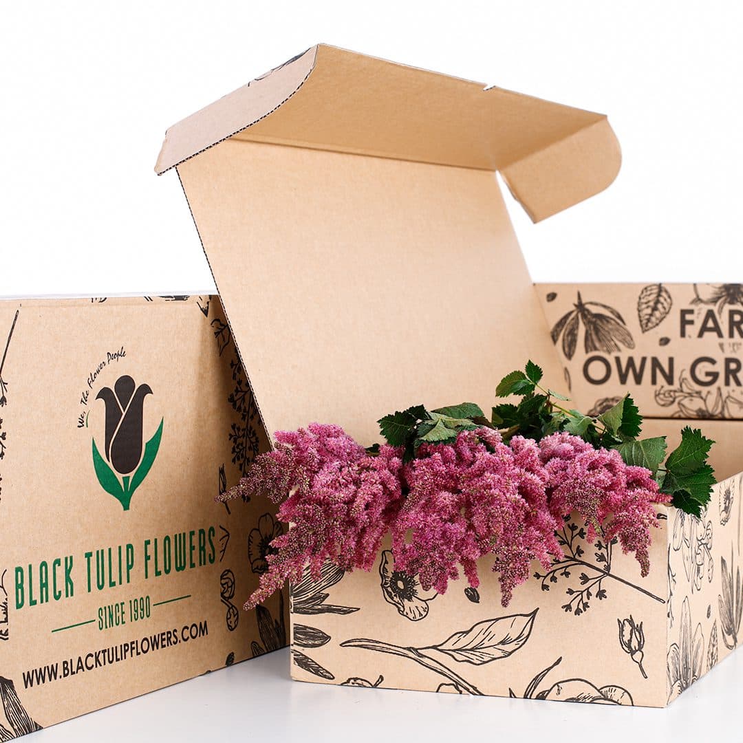 A cardboard box containing a vibrant bunch of Astilbe flowers in dark pink hues.