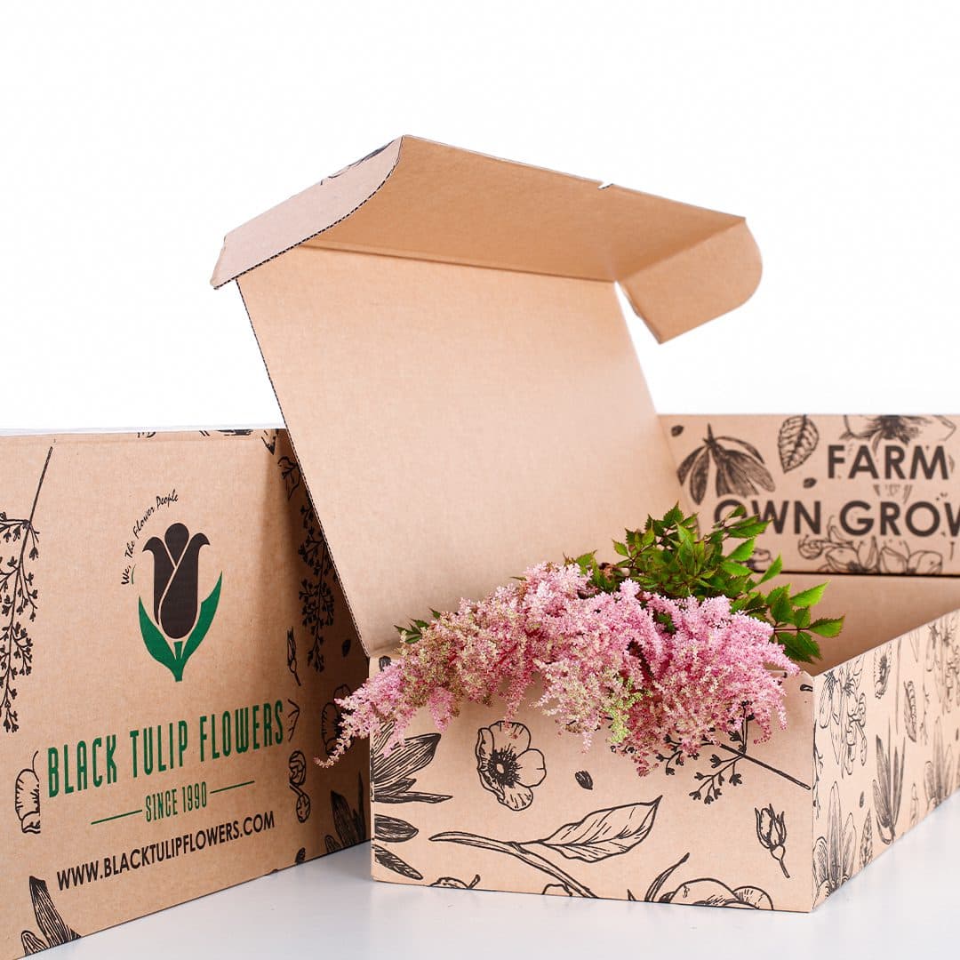 A collection of Astilbe Pink flowers arranged in a cardboard box, highlighting their soft hues and elegant form.