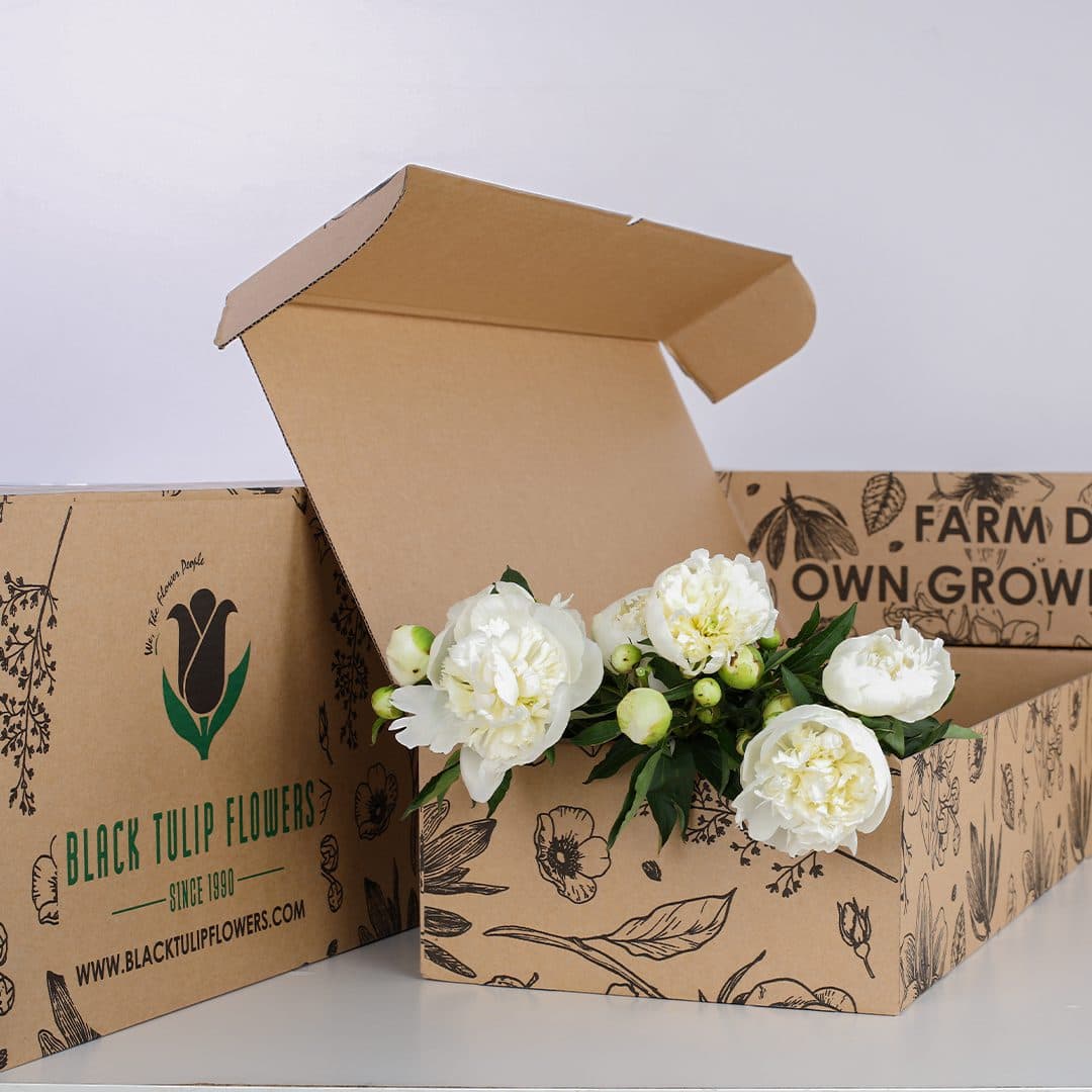 Two cardboard boxes with a floral pattern, one open to reveal 4 white peonies. The boxes are branded with "Black Tulip Flowers" and "Farm to Own Grown"