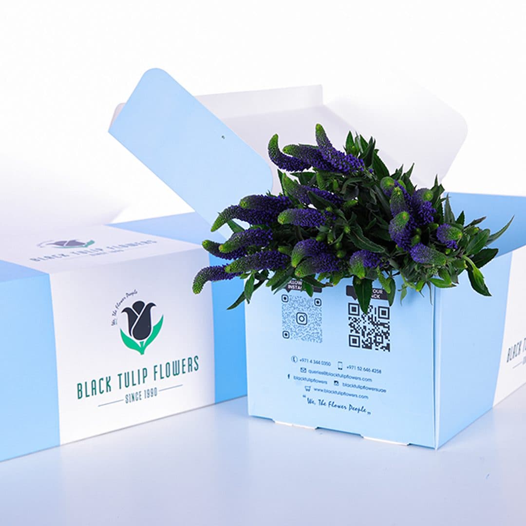 A cardboard box filled with fresh Veronica Blue flowers, emphasizing their beautiful blue shades and elegant appearance.