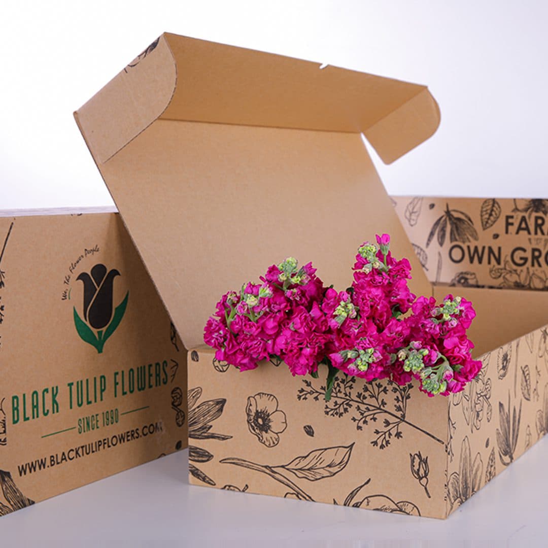 A cardboard box filled with vibrant Matthiola flowers in dark pink hues, showcasing their lush petals and greenery.
