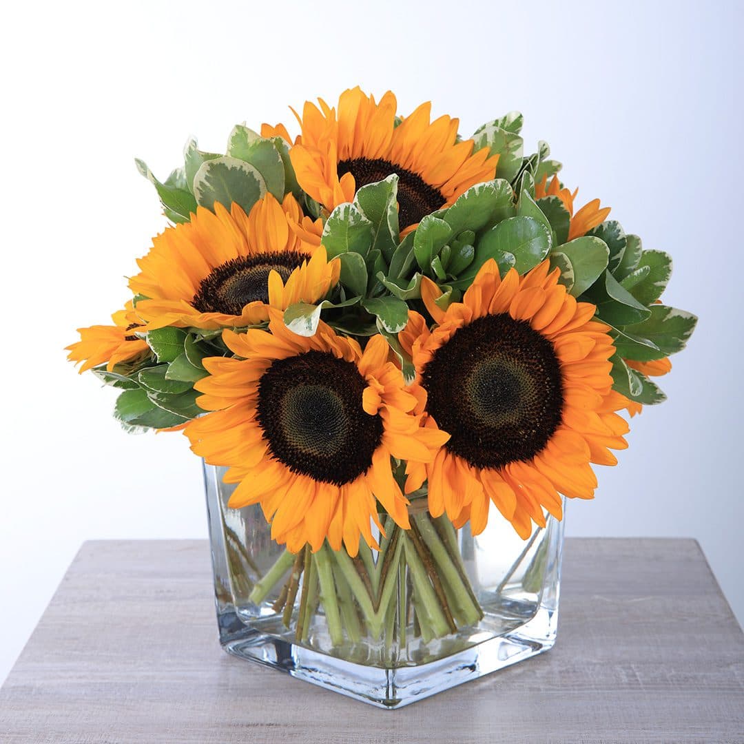 A bouquet of bright yellow sunflowers arranged in a clear glass vase.