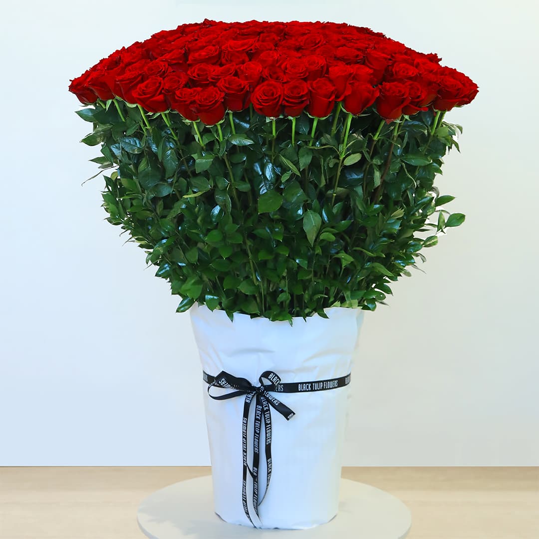 365 red roses in a white wrap tied with green leaves and tied with a black ribbon.