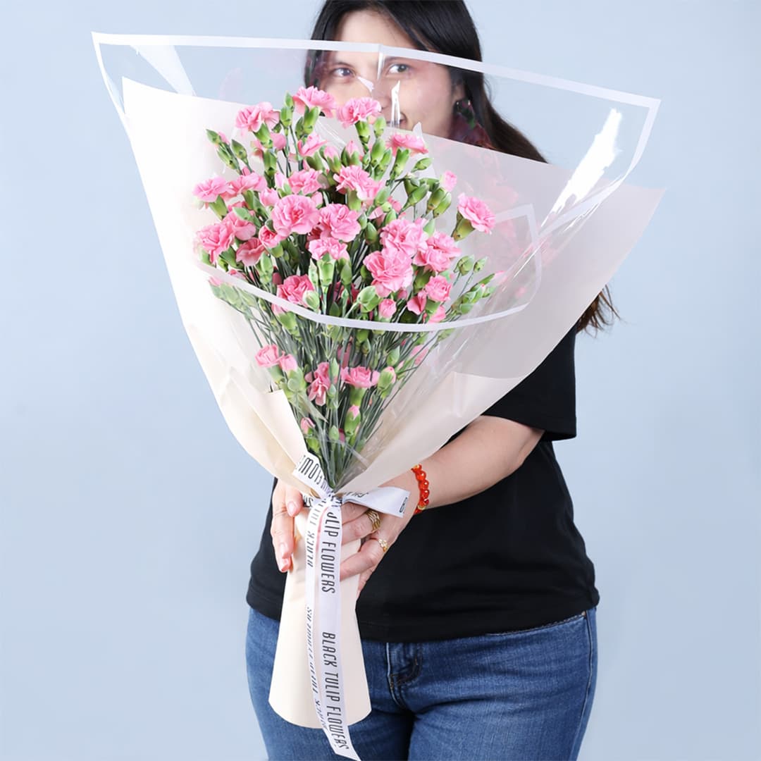 A Pastel pink carnations Valentine flower bouquet arranged in transparent white wrapping.