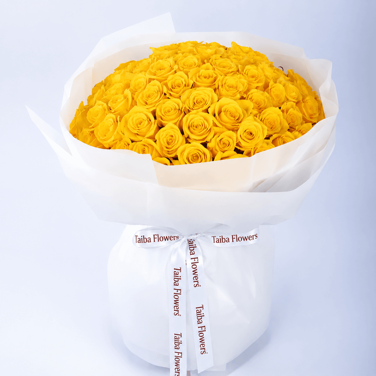 100 stems of vibrant yellow roses arranged in a white wrap, tied with a white ribbon.